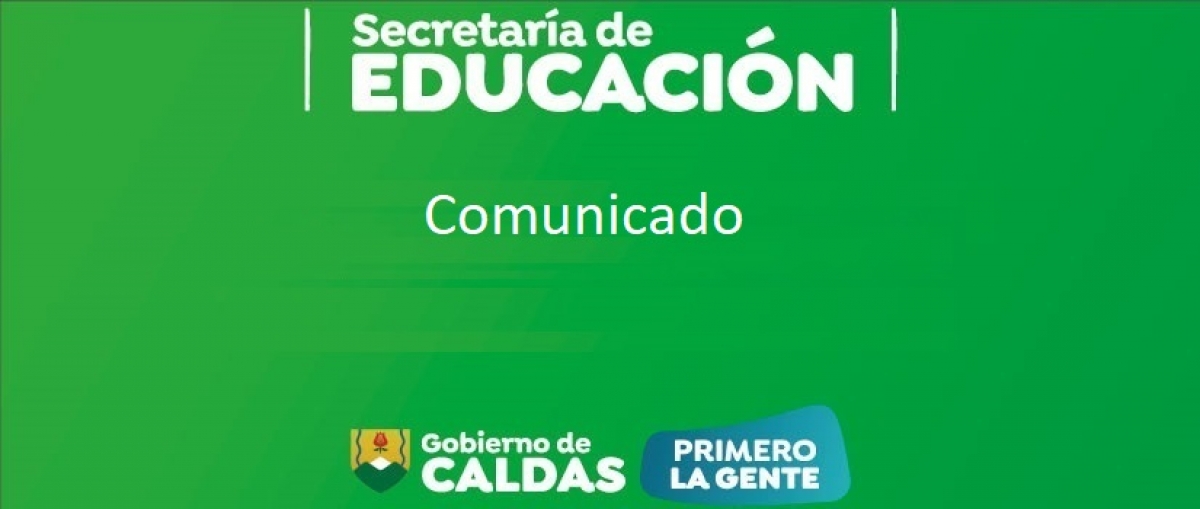 Informe Preselección de los Tutores PTAFI 3.0 2024