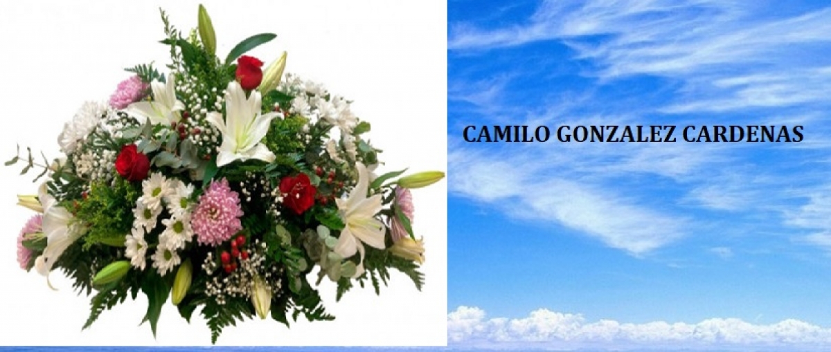 <br />
<b>Notice</b>:  Undefined property: K2ViewItemlist::$title in <b>/home4/sedcalda/public_html/templates/buckle/html/com_k2/templates/default/user.php</b> on line <b>62</b><br />
