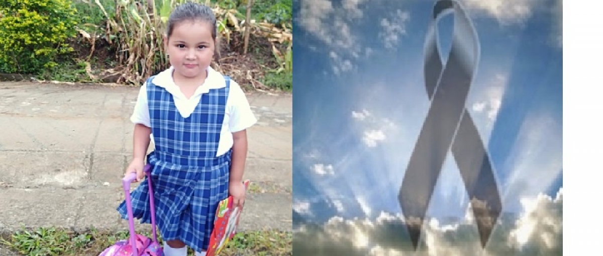 <br />
<b>Notice</b>:  Undefined property: K2ViewItemlist::$title in <b>/home4/sedcalda/public_html/templates/buckle/html/com_k2/templates/default/user.php</b> on line <b>62</b><br />
