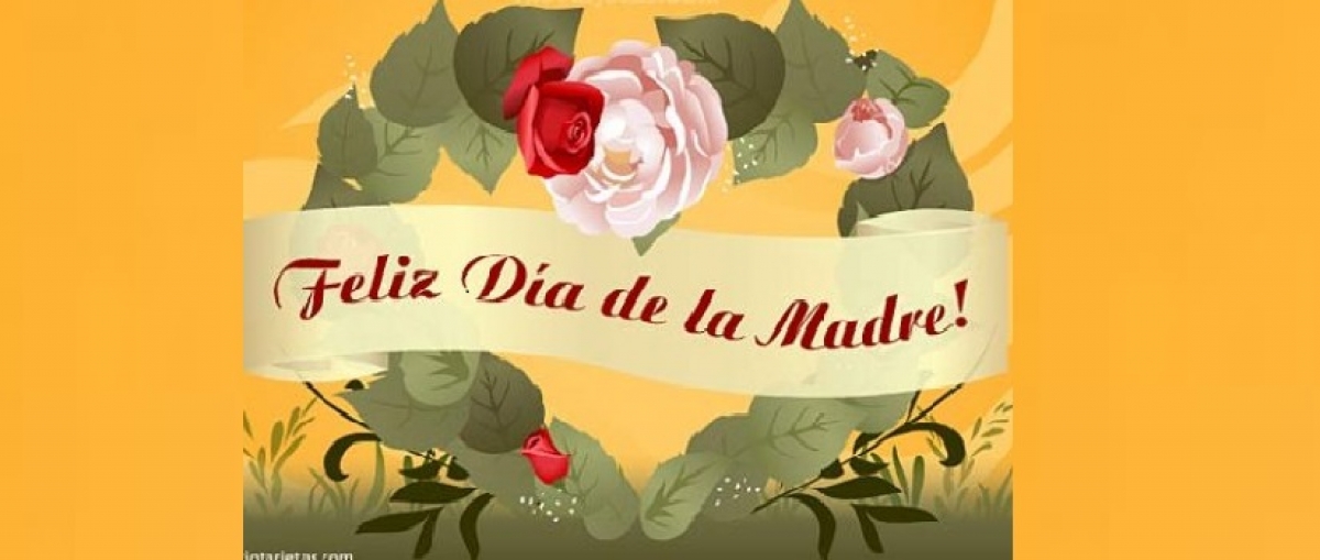 <br />
<b>Notice</b>:  Undefined property: K2ViewItemlist::$title in <b>/home4/sedcalda/public_html/templates/buckle/html/com_k2/templates/default/user.php</b> on line <b>62</b><br />
