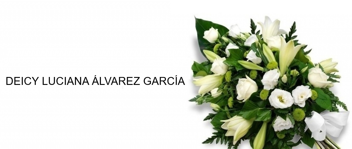 <br />
<b>Notice</b>:  Undefined property: K2ViewItemlist::$title in <b>/home4/sedcalda/public_html/templates/buckle/html/com_k2/templates/default/user.php</b> on line <b>62</b><br />
