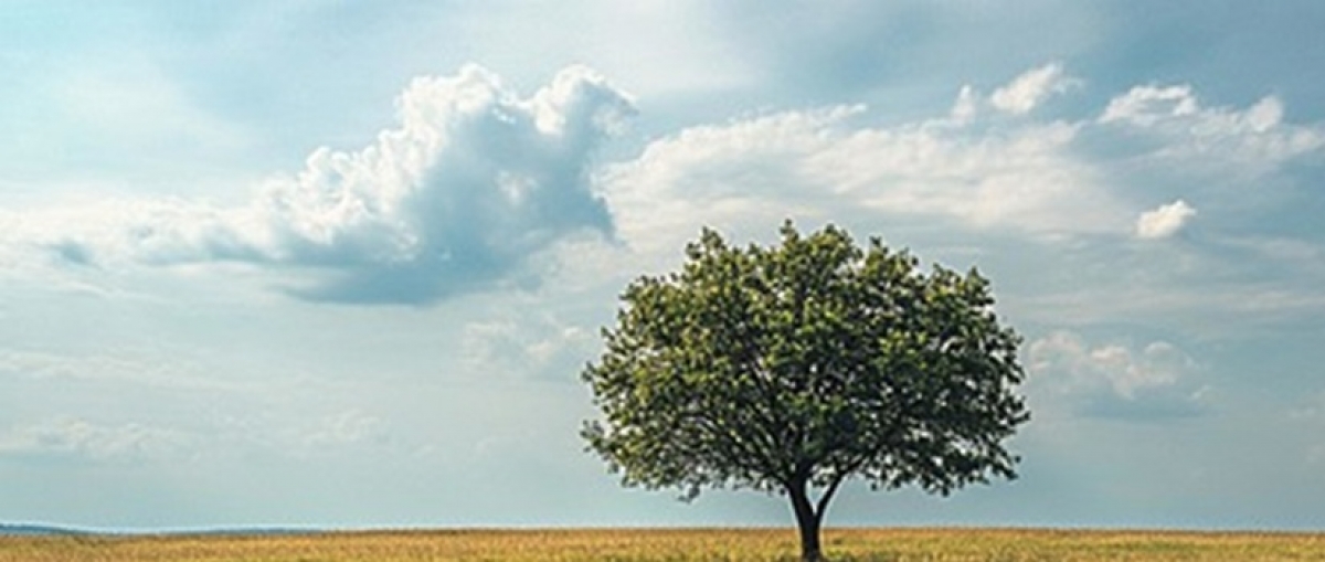 &nbsp;&nbsp;&nbsp;LA SOLEDAD CANSADA  &hellip;.Para pensar&hellip;.