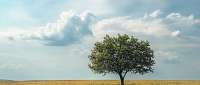    LA SOLEDAD CANSADA  ….Para pensar….
